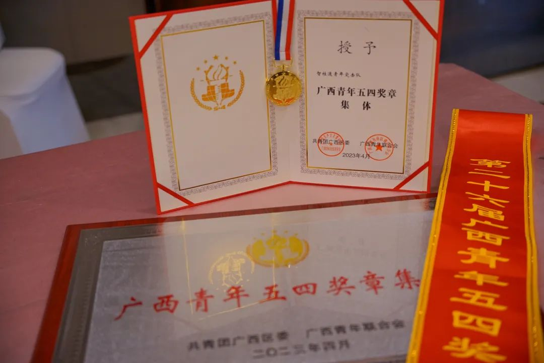 承诺佑装数”，青年有为|荣获自治区级赞美，这个青年集体“五力五促”做法你肯定重点赞