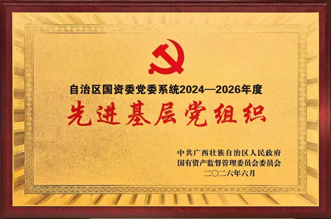 转载丨党建引领数字强区 前锋领航再创佳绩丨广西数据集团及所属党组织集体、幼我荣获自治区国资委党委系统“两优一先”赞美